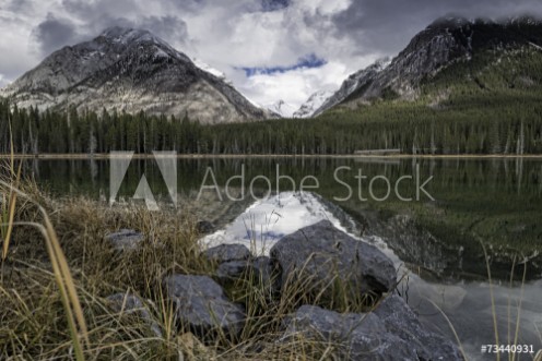 Picture of Buller Pond Panoramic